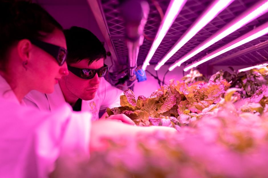 Ajinomoto — Can Ajinomoto Make its Sustainable Vision a Reality? (featured)