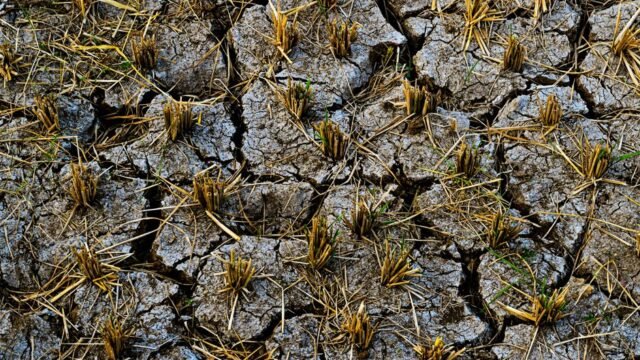 Climate Change — Climate Crisis: South Asia's Scorching Heatwave Signals Urgency (featured)