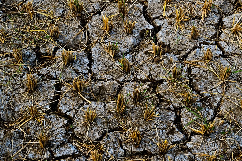 Climate Change — Climate Crisis: South Asia's Scorching Heatwave Signals Urgency (featured)