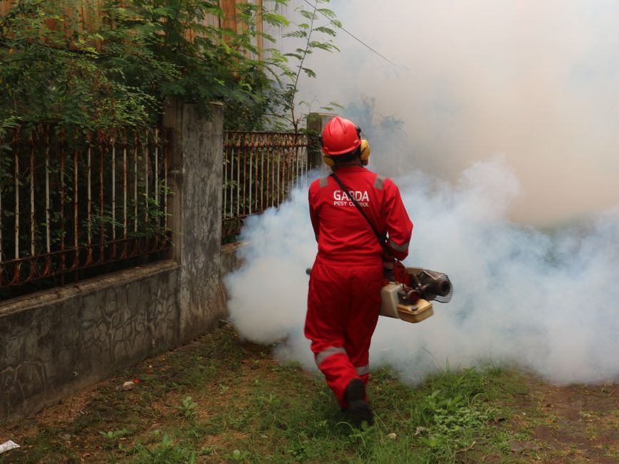 chlordécone — French court's chlordécone refusal sparks outrage (featured)