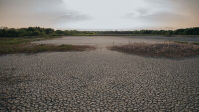 heatwaves — France Battles Record-Breaking Heatwaves, What's Next? (featured)