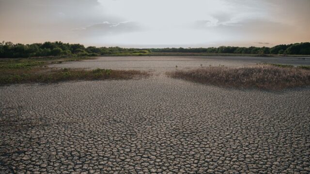 heatwaves — France Battles Record-Breaking Heatwaves, What's Next? (featured)