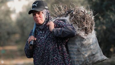 Middle East — Israel's Olive Tree Burnings: A Symbol of Occupation and Oppression (featured)