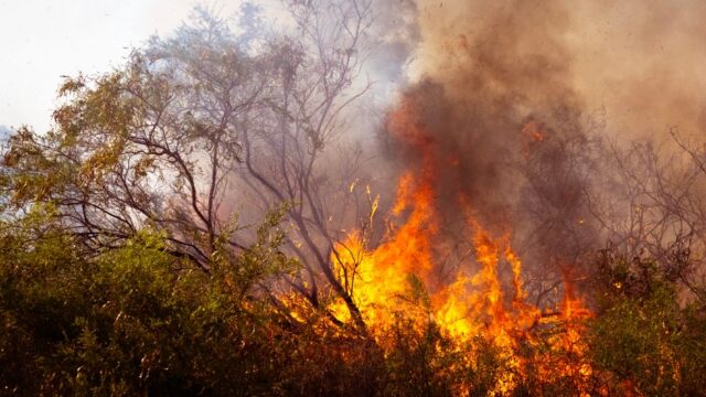 Extreme Heat — Conference on Extreme Heat cancelled due to Extreme Heat warning (featured)