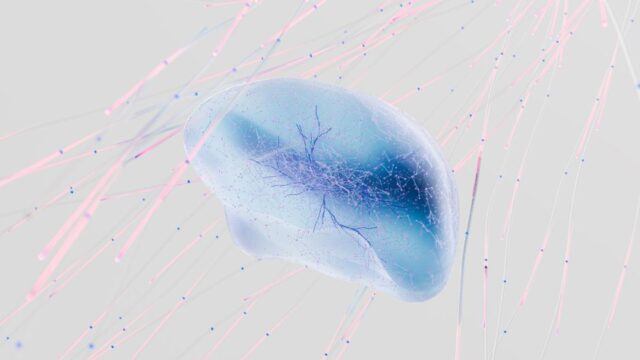 brain science — Brain Science's Next Big Catch: Is it a Fish? (featured)