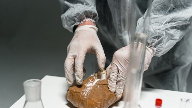 cocaine — Australian Police Smash Largest Cocaine Haul in History (featured)