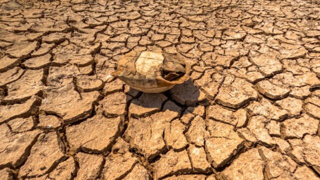 European heatwave — European Heatwave Exposes Nation's Readiness for Extreme Weather Event (featured)