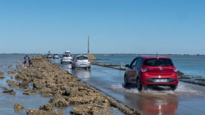 Europe — Europe heatwave is 'price to pay for fossil fuel pollution': UN climat (featured)