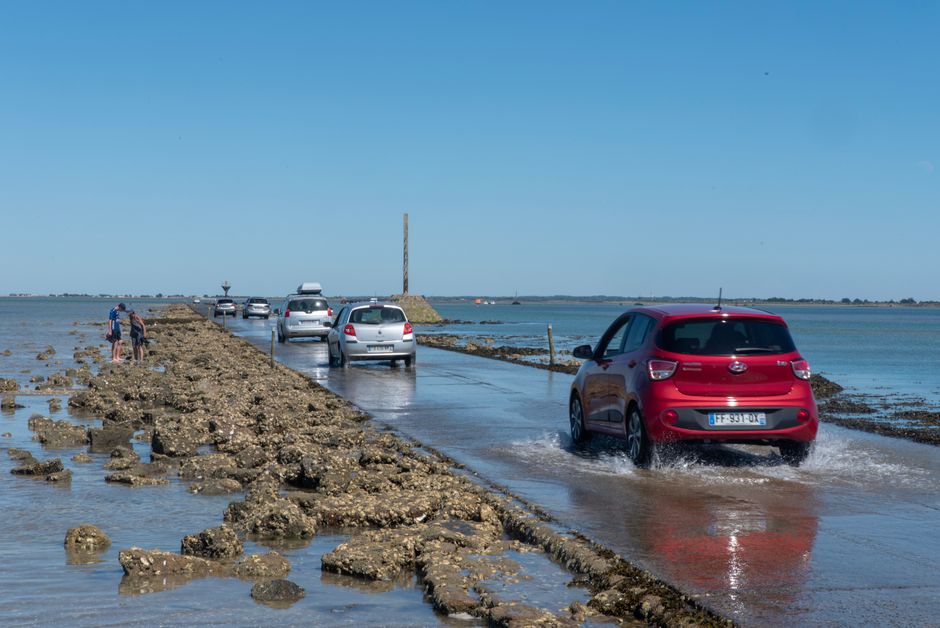 Europe — Europe heatwave is 'price to pay for fossil fuel pollution': UN climat (featured)