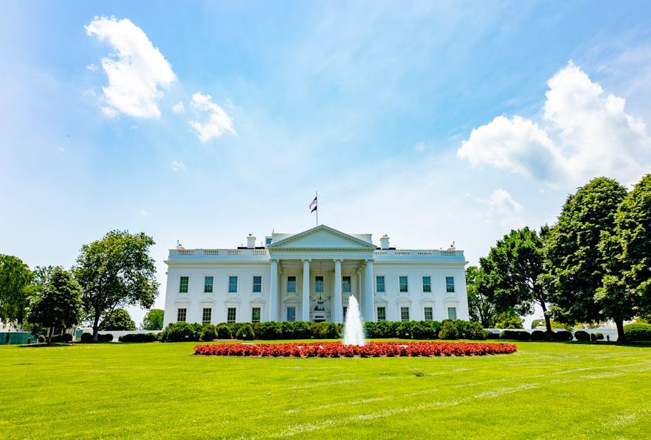White House — Trump's UFC Arena: White House or Fight Night? (featured)