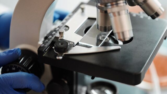 brain science — Is the key to brain science hiding in a tiny fish? (featured)