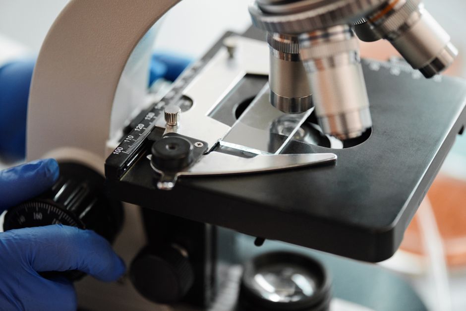 brain science — Is the key to brain science hiding in a tiny fish? (featured)