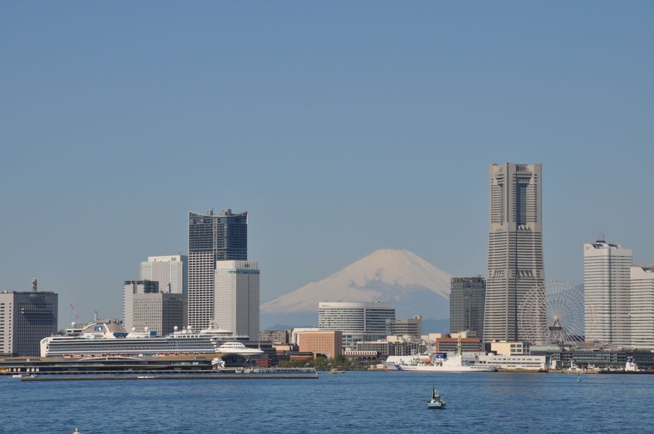 Duchenne Muscular Dystrophy — The High-Stakes Partnership: Can Elixirgen Therapeutics and Nippon Shi (featured)