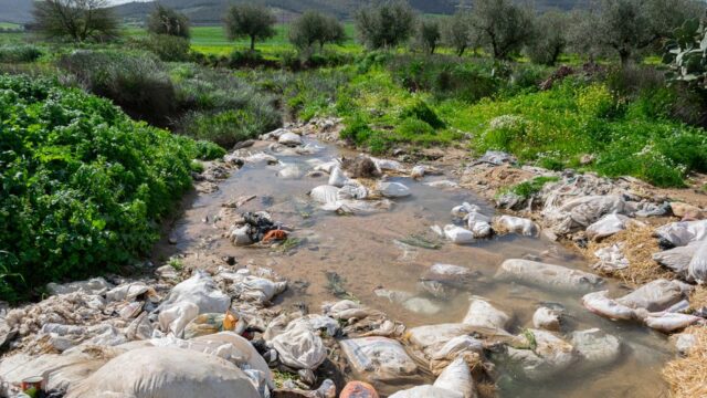 Arsenic simulation — Arsenic's Hidden Dangers: Can We **Simulate** a Solution to Environmen (featured)