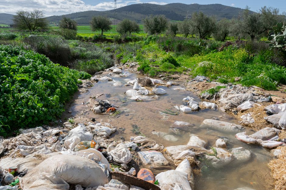 Arsenic simulation — Arsenic's Hidden Dangers: Can We **Simulate** a Solution to Environmen (featured)
