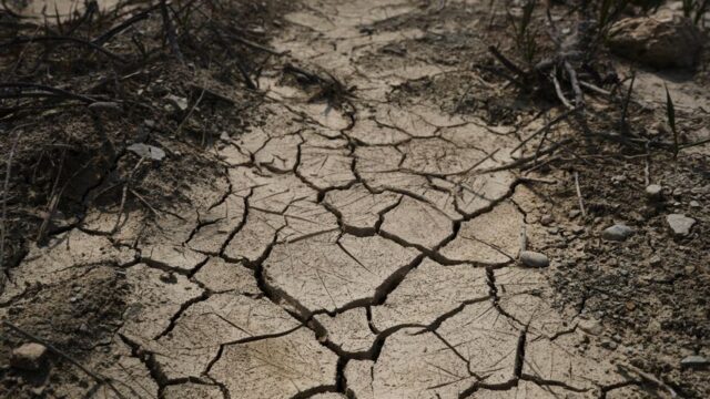 heatwave — UK Sizzles on to New Record: 37.3C Temperature Leaves Nation Scorching (featured)