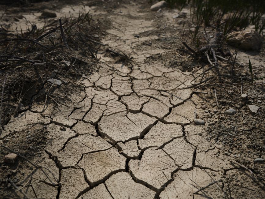 heatwave — UK Sizzles on to New Record: 37.3C Temperature Leaves Nation Scorching (featured)