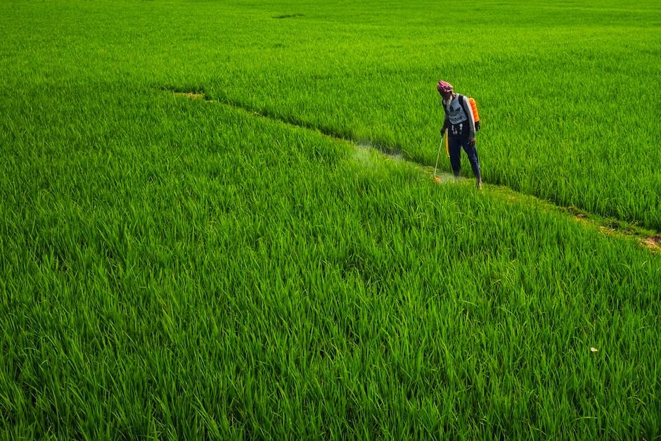 fertility rate — India's Fertility Rate Plummets: A Demographic Crisis Unfolds (inline 1)