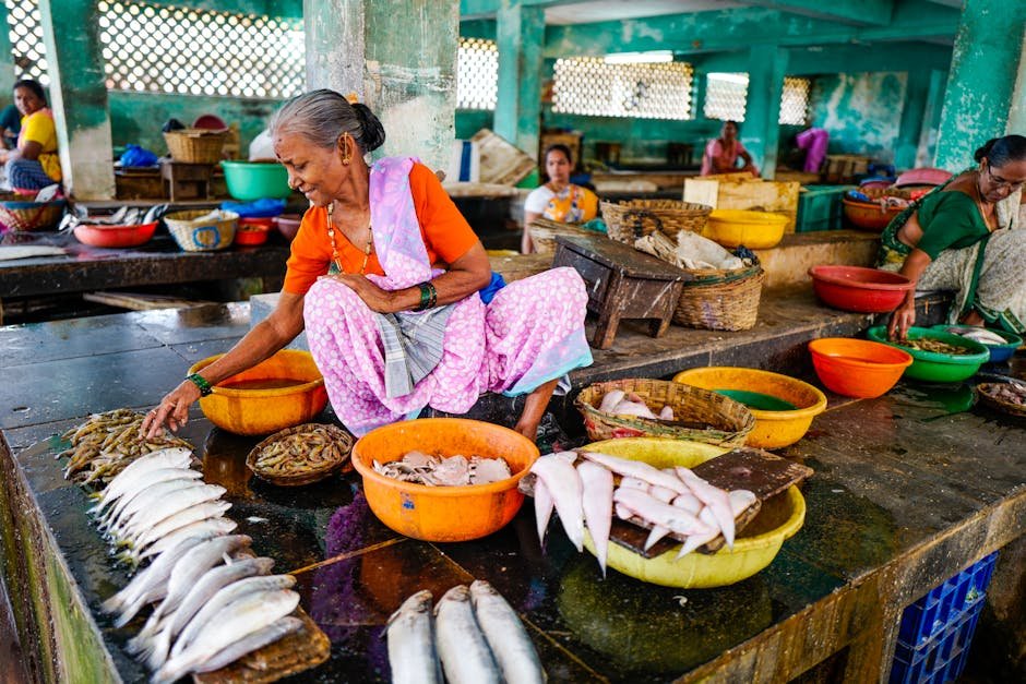 South Asia — India Falls to 7th in Market Cap: A Wake-Up Call for South Asia (inline 1)
