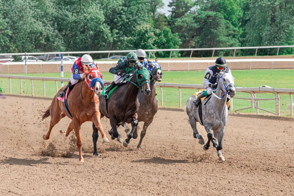 Preakness Stakes — Maryland's Move on Preakness Stakes: A Strategic Bet or a Folly? (photo)
