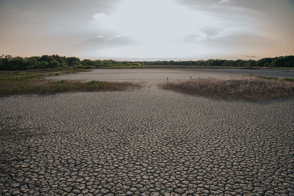 Climate Change — Climate Crisis: South Asia's Scorching Heatwave Signals Urgency (inline 1)