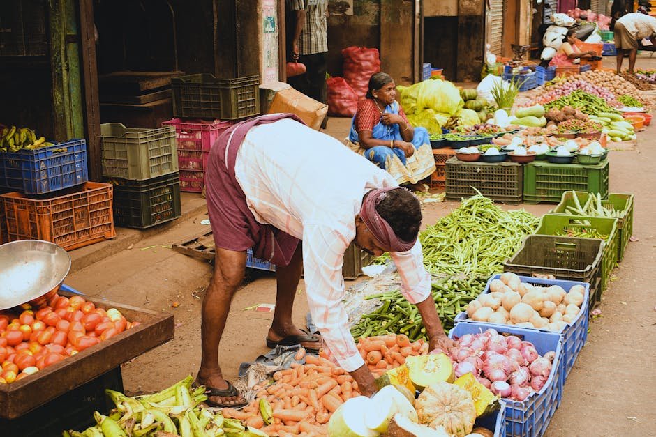 South Asia — U.S. Agriculture's Future: South Asia's Golden Opportunity or Mirage? (inline 1)
