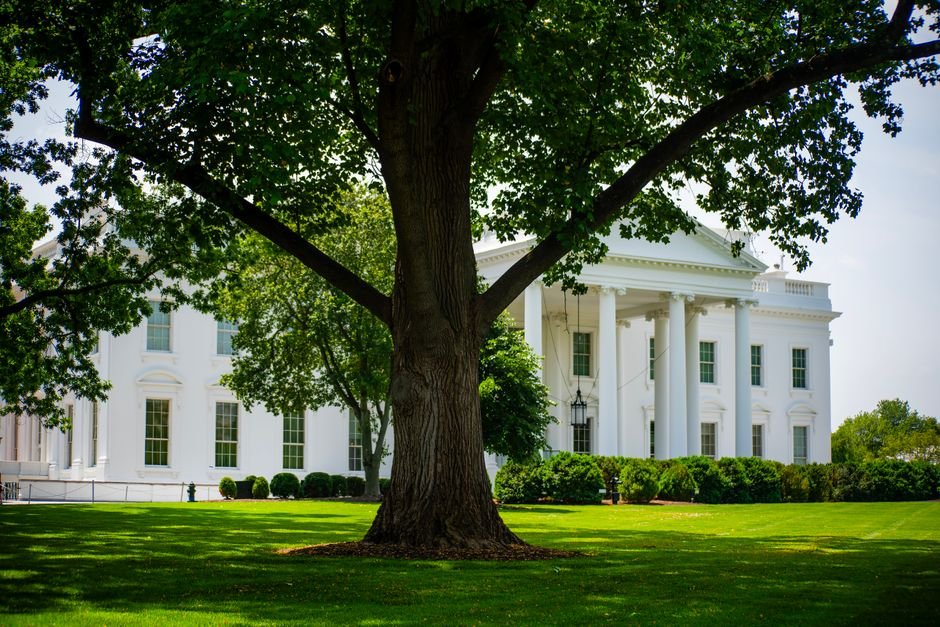 White House — Trump's UFC Arena: White House or Fight Night? (inline 1)