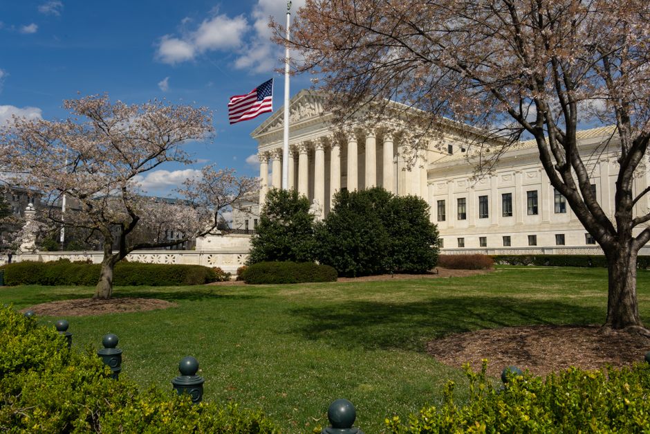 Corporate Accountability — Bayer's Reputation on the Line: A High-Stakes Case on Corporate Accoun (photo)