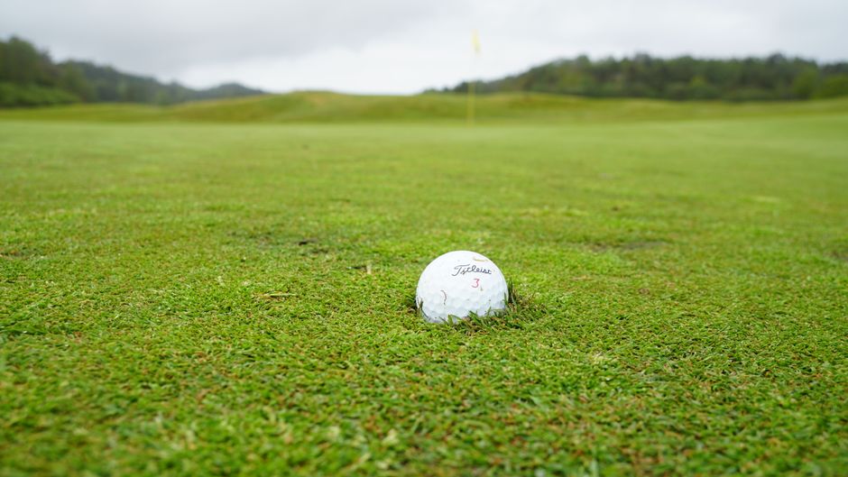 Travelers Championship — Scheffler and Hovland set to battle it out in Travelers Championship f (photo)