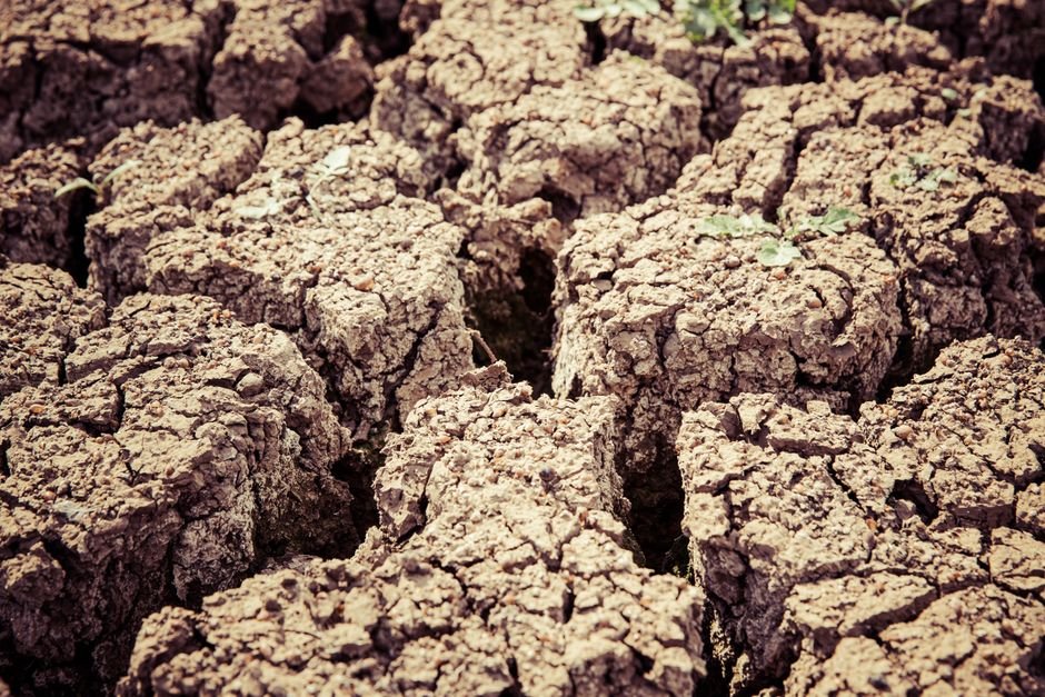 water wars — Water Wars: South Asia Faces Drought and Conflict Crisis (inline 2)