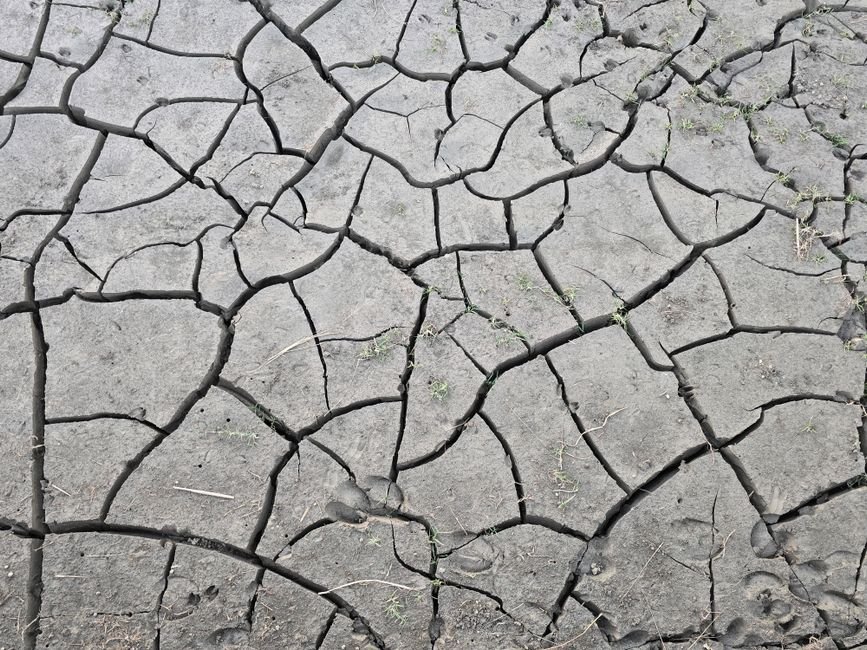 climate attribution — Will Politics Overrule Science in Climate Attribution Debate? (photo)