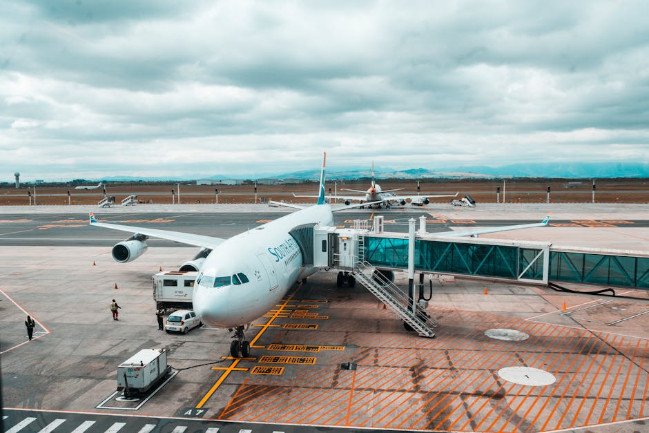business — Airlines' Proposal to Blacklist Disruptive Passengers: A Business Impe (inline 2)