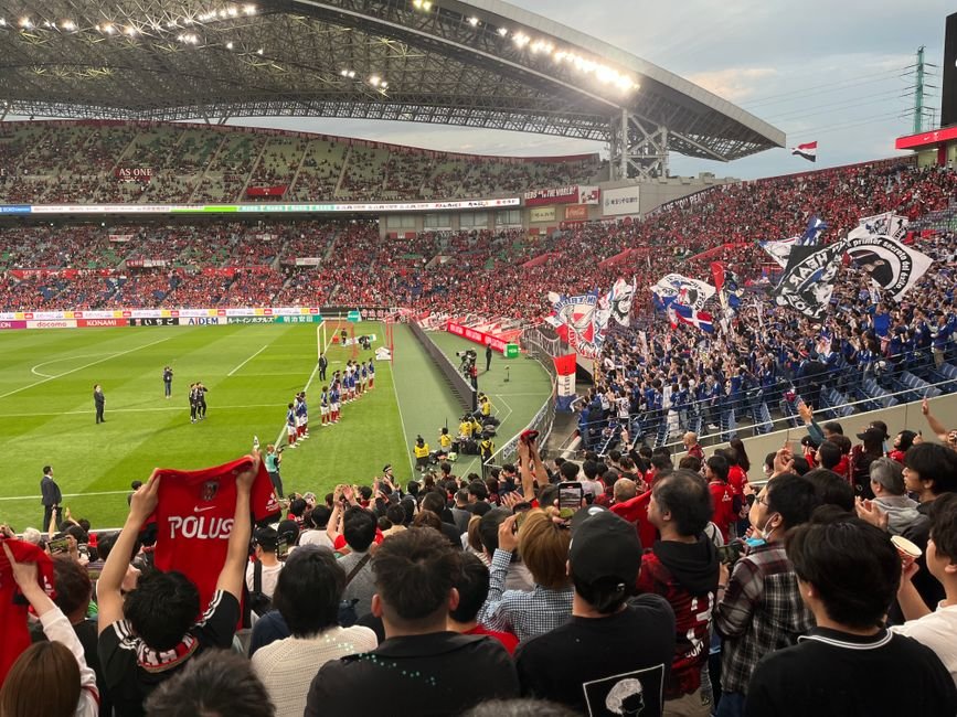 World Cup — World Cup Clash: Netherlands vs. Japan - A Battle for Glory (photo)