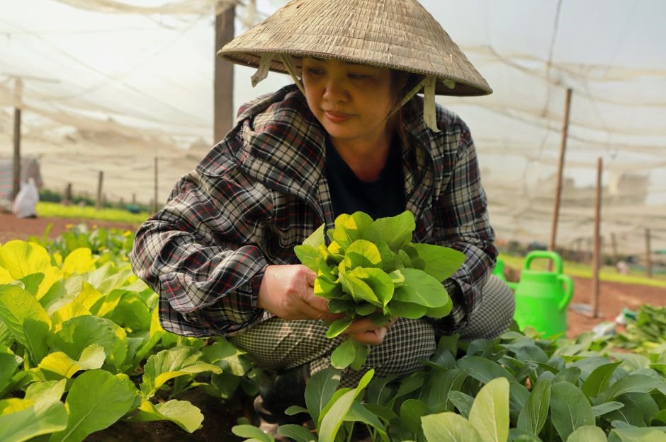 Ajinomoto — Can Ajinomoto Make its Sustainable Vision a Reality? (inline 2)