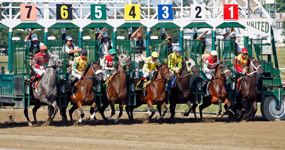 Preakness Stakes — Maryland's Move on Preakness Stakes: A Strategic Bet or a Folly? (photo)