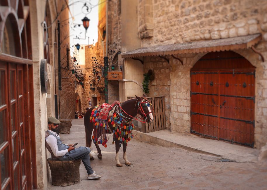 Middle East — Man in the Crosshairs: Middle East Tensions Simmer Amid Urban Violence (photo)