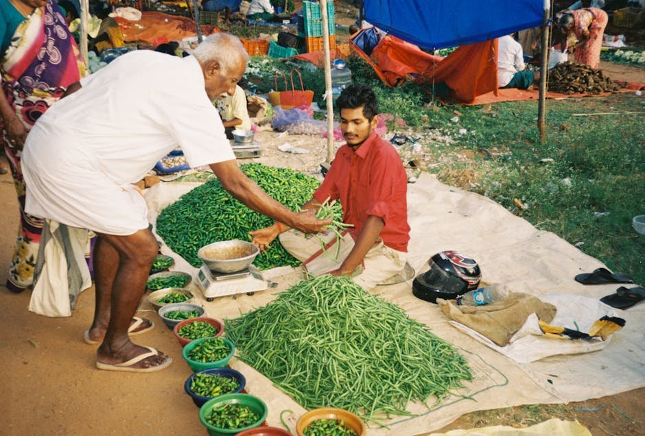 South Asia — U.S. Agriculture's Future: South Asia's Golden Opportunity or Mirage? (inline 2)