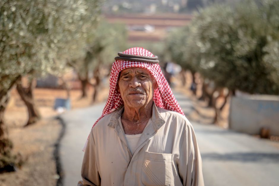 Middle East — Israel's Olive Tree Burnings: A Symbol of Occupation and Oppression (photo)