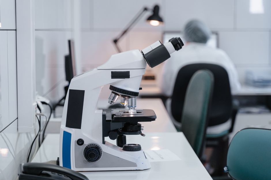 artificial intelligence — AI Steers Entomology Towards a New Era of Discovery (photo)