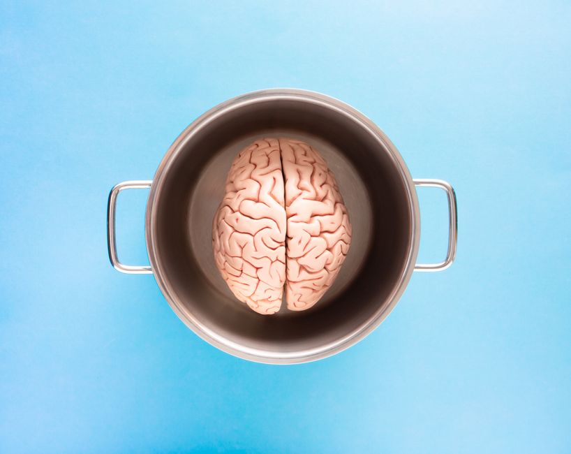 brain science — The Future of Brain Science May be Swimming in a Tiny, Transparent Fis (photo)