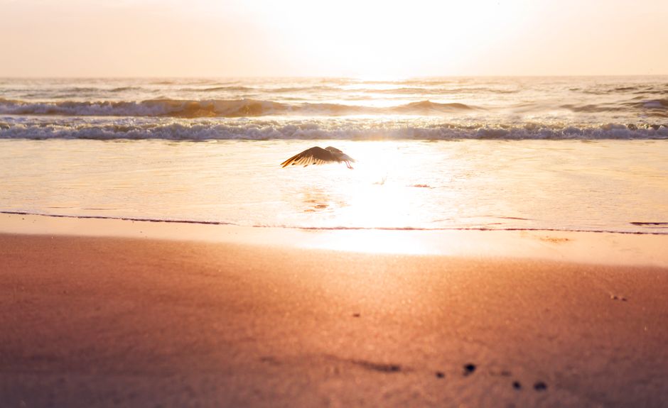 techcrunch founder — Early Bird pricing ends tonight for TechCrunch Founder Summit (photo)