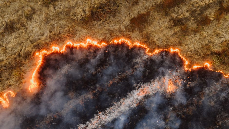 climate change — How much longer will we stand by as wildlands burn? (photo)