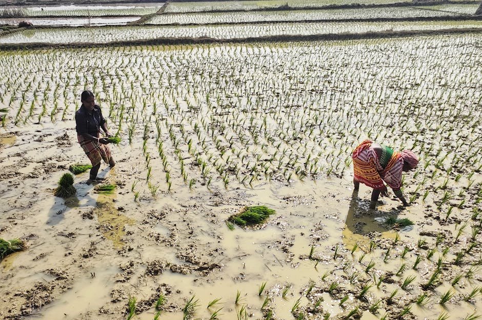 South Asia — Is South Asia Ready for India's Economic Surge? (inline 3)