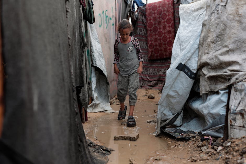 Gaza — Gaza's Fear: A Cycle of Violence that Endangers the Middle East (inline 3)