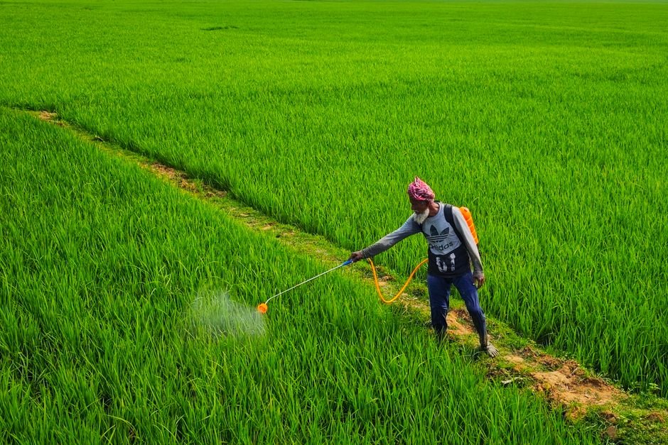 fertility rate — India's Fertility Rate Plummets: A Demographic Crisis Unfolds (inline 3)