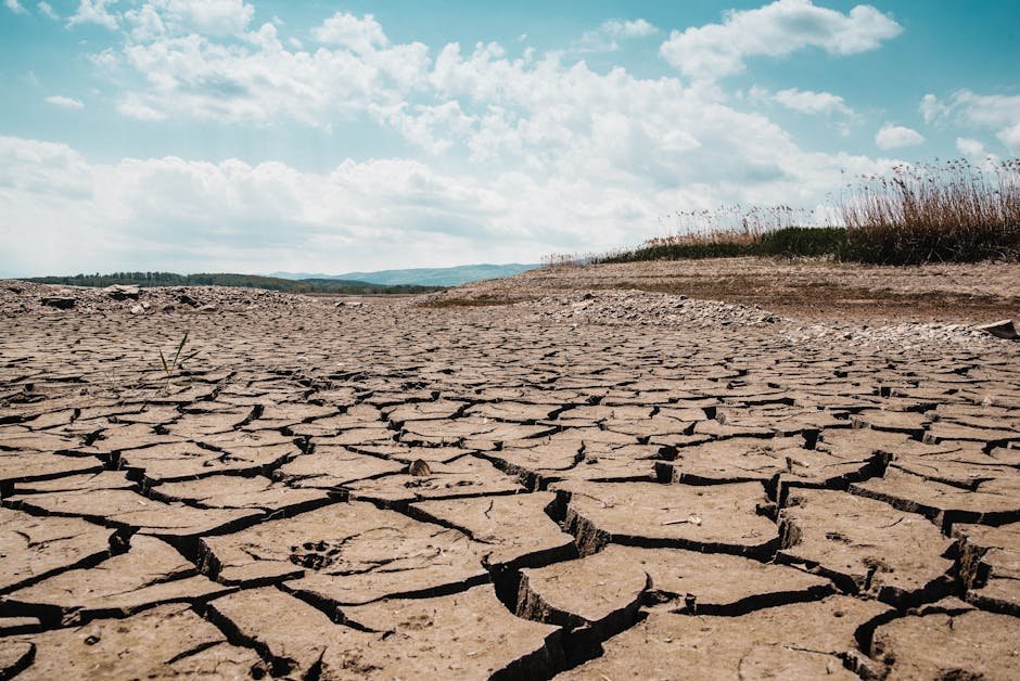 water wars — Water Wars: South Asia Faces Drought and Conflict Crisis (inline 3)