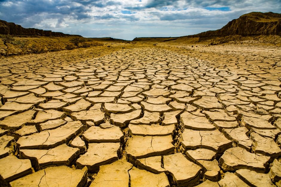 El Niño — El Niño: The Canary in the Coal Mine for a Chaotic Climate (photo)