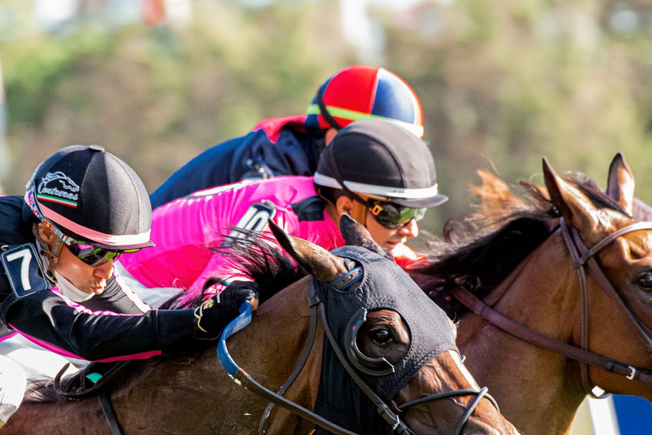 Preakness Stakes — Maryland's Move on Preakness Stakes: A Strategic Bet or a Folly? (photo)