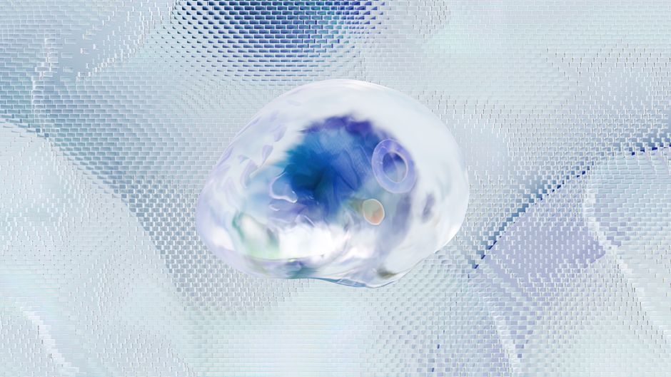 brain science — Is the Future of Brain Science Hiding in a Tiny Fish? (photo)