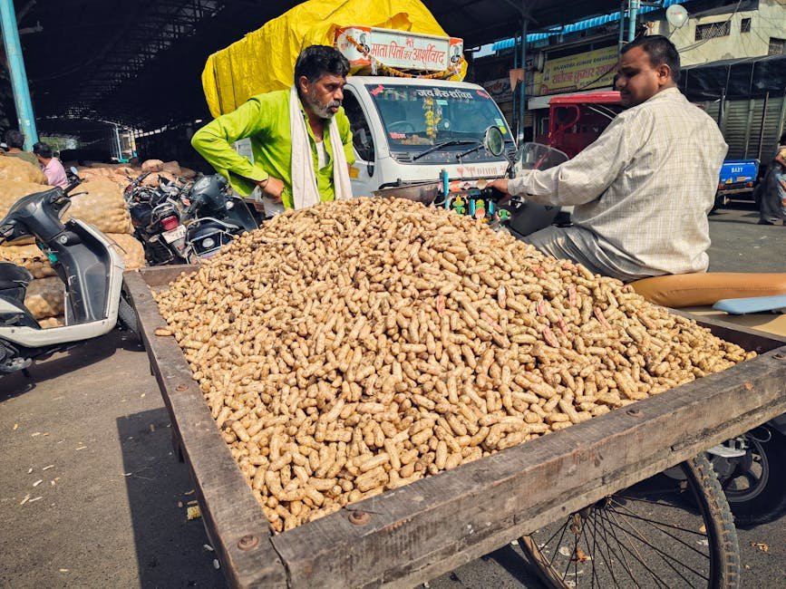 South Asia — U.S. Agriculture's Future: South Asia's Golden Opportunity or Mirage? (inline 3)